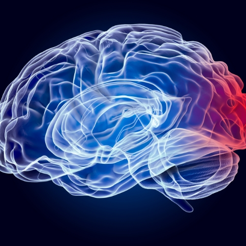 concussion-management-Solutions-Physical-Therapy-and-Sports-Medicine-Alexandria-Springfield-VA